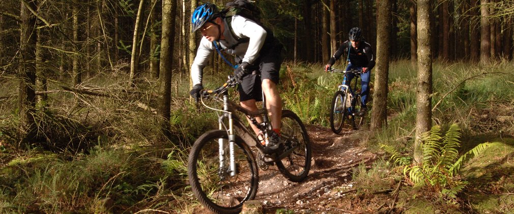 Hopton mtb hot sale